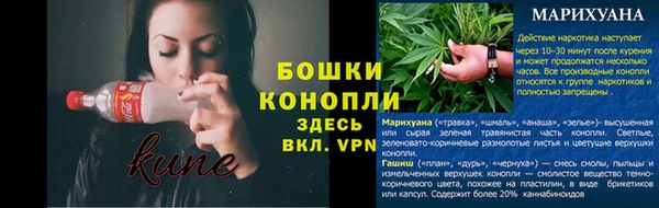 прущие грибы Кинешма