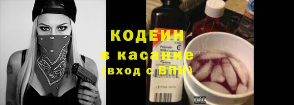 прущие грибы Кинешма