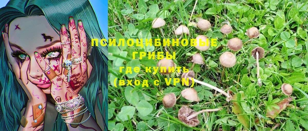 хмурый Киренск