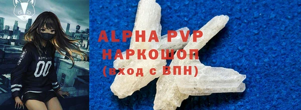 прущие грибы Кинешма